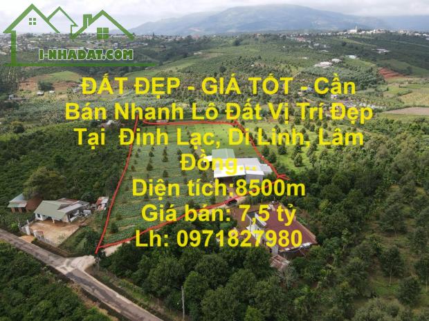 ĐẤT ĐẸP - GIÁ TỐT - Cần Bán Nhanh Lô Đất Vị Trí Đẹp Tại  Đinh Lạc, Di Linh, Lâm Đồng - 4