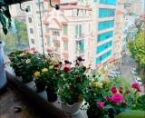 HIẾM! MẶT PHỐ TRUNG KÍNH TÒA DÒNG TIỀN 8TẦNG THANG MÁY MỚI ĐẸP VỈA HÈ 5m SỔ ĐẸP, hơn 31 tỷ