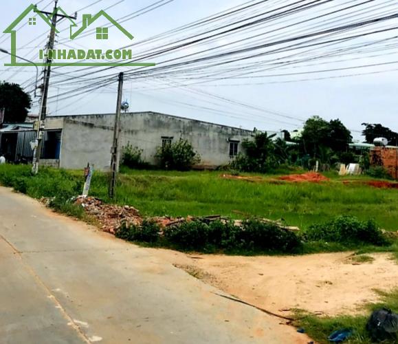 Cần bán gấp-Đất Thổ cư Tiến Hoà-Tiến Lợi-Phan Thiết-DT: 195m2+216m2+274m2 - 1