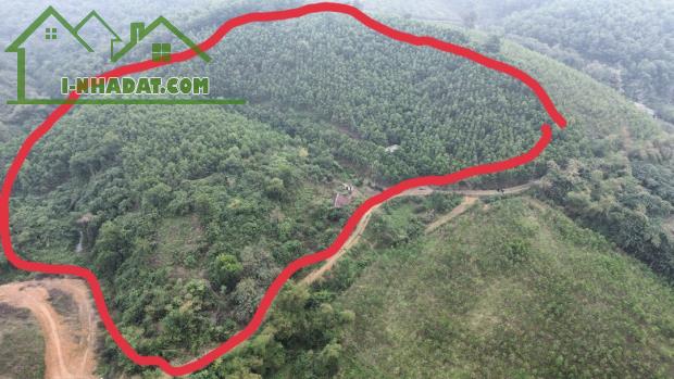 CẦN BÁN GẤP 2,6HA 900m thổ cư + RSX liền thửa LƯƠNG SƠN HB có nhà cấp 4 , bám suối,giá tốt