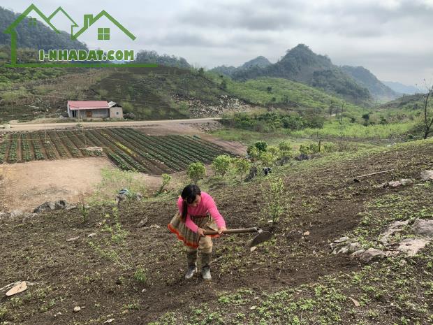 Cần bán lô đất 2.1 ha tại Tà Số, Mộc Châu, có thổ cư, giá thỏa thuận ngay. - 3