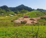 Bán nhanh mảnh đất rộng 2.1 ha ở Tà Số, Mộc Châu, đã có thổ cư, giá thương lượng.