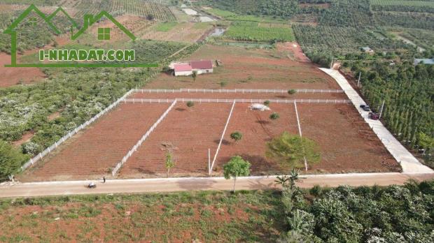 Chính chủ bán lô đất phù hợp làm farm tại Lâm Đồng đất có sẵn thổ cư - 2