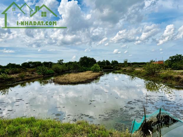 BÁN ĐẤT NUÔI TÔM , THẢ LANG TẠI DUYÊN HẢI, TRÀ VINH - 1