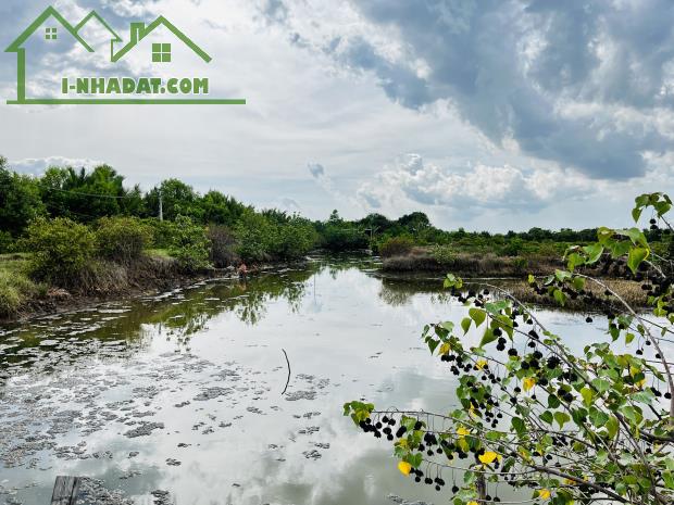 BÁN ĐẤT NUÔI TÔM , THẢ LANG TẠI DUYÊN HẢI, TRÀ VINH - 2