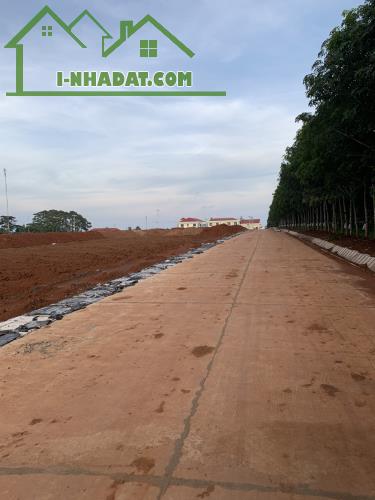 Mình cần bán cặp lô cạnh trường mầm non KDC Phú Lộc Krông Năng - 3
