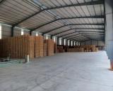 CHO THUÊ KHO XƯỞNG 4.400M2 ĐƯỜNG TỈNH LÔ 2 HUYÊN CỦ CHI