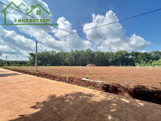 NHÀ BÁN LÔ ĐẤT (30x65=2.000m2)TÁCH 2 SỔ,SHR,330TRIỆU,SÁT DÂN,GẦN CHỢ,TRƯỜNG HỌC