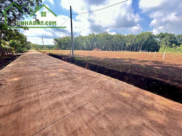 NHÀ BÁN LÔ ĐẤT (30x65=2.000m2)TÁCH 2 SỔ,SHR,330TRIỆU,SÁT DÂN,GẦN CHỢ,TRƯỜNG HỌC - 1