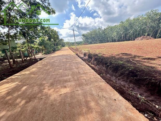 NHÀ BÁN LÔ ĐẤT (30x65=2.000m2)TÁCH 2 SỔ,SHR,330TRIỆU,SÁT DÂN,GẦN CHỢ,TRƯỜNG HỌC - 2
