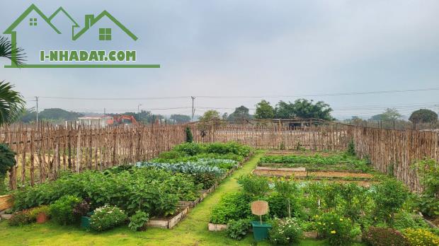 Đất nền view biển hồ của phân khu đẹp nhất Biển hồ Village đang mở bán