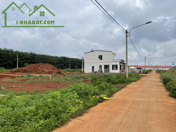 Cần bán lô đất thổ cư 280m2 ở khu dân cư Phú Lộc tại trung tâm huyện krông Năng Đắk Lắk - 1