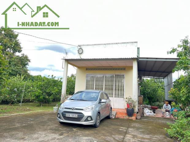 Bán nhà vườn đường nhựa Ôtô, Bình Lợi, Vĩnh Cửu, Đồng Nai, 2300m2, giá 6 tỷ 200. - 4