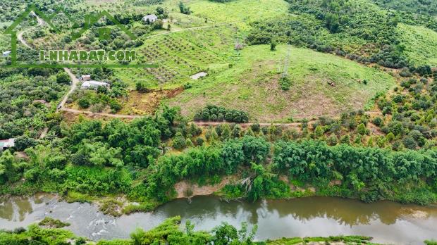 bán 9 hecta đất có thổ cư sẵn vườn Bưởi, Sầu Riêng giáp Sông Trang giá chỉ 210k/m2 - 1