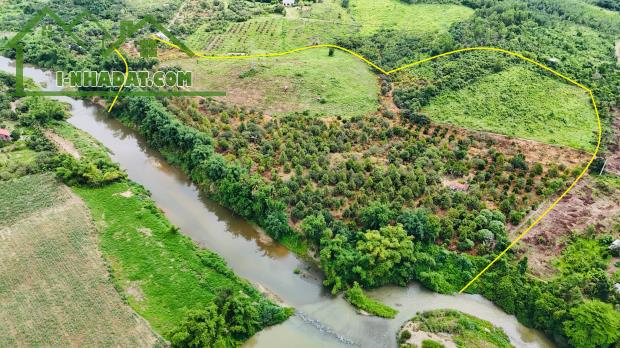 bán 9 hecta đất có thổ cư sẵn vườn Bưởi, Sầu Riêng giáp Sông Trang giá chỉ 210k/m2 - 2