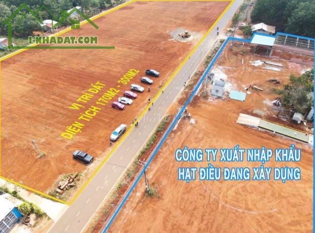 Đất nền giá rẻ Bình Phước chỉ 168tr sở hữu ngay 175m2 đất tặng ngay 2 chỉ vàng cho khách - 2