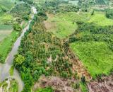 bán 9 hecta đất có thổ cư sẵn vườn Bưởi, Sầu Riêng giáp Sông Trang giá chỉ 210k/m2