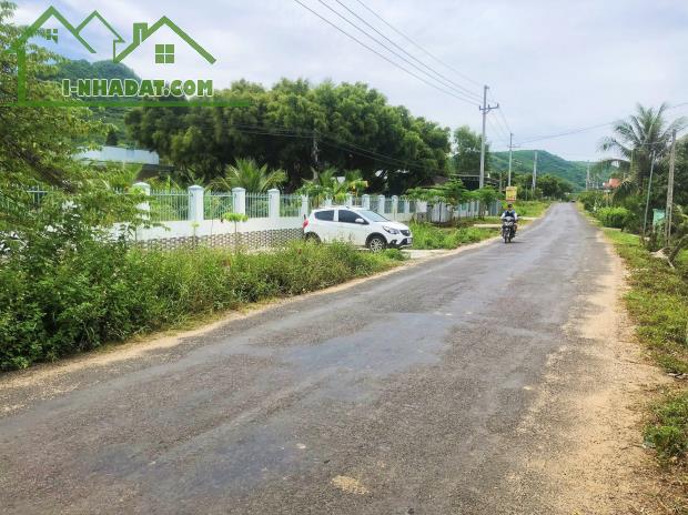 Bán đất mặt tiền Hương Lộ 62 Diên Tân giá rẻ rộng rãi xây nhà vườn - 2