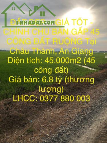 ĐẤT ĐẸP  - GIÁ TỐT - CHÍNH CHỦ BÁN GẤP 45 CÔNG ĐẤT RUỘNG Tại Châu Thành, An Giang - 4