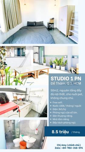 Cho Thuê STUDIO 1PN Ở Đề Thám Quận 1