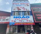 Sang nhượng cửa hàng Pet shop 3 tầng mặt tiền đẹp tại Hoài Đức