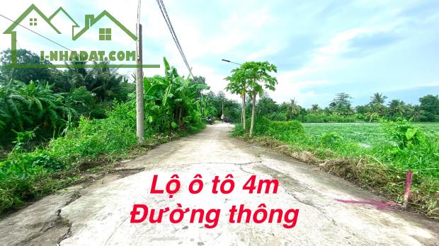 #246 || Nền Đẹp 493m2 Có 300 Thổ Cư, Kế Chợ Mỹ Khánh, Gần ĐH Nam Cần Thơ. - 3