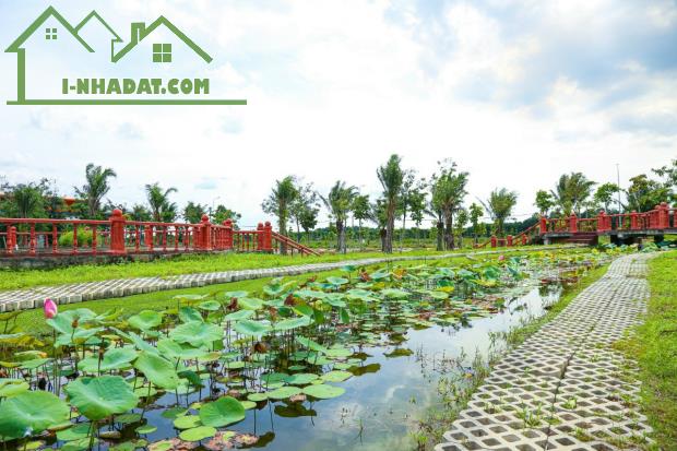 Kinh doanh thu lỗ cần bán đất Mega City 2, mặt tiền đường 25 C - Nguyễn Ái Quốc rộng 100m - 2