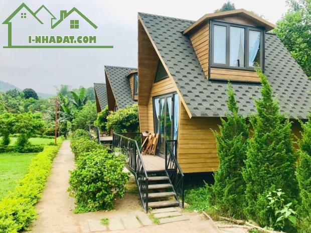 Bán gấp resort mini có tổng diện tích đất lên đến 4846m2 trong đó có 250m2 đất