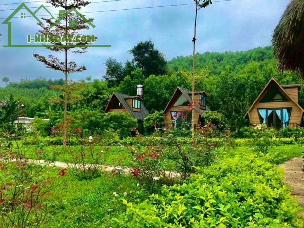 Bán gấp resort mini có tổng diện tích đất lên đến 4846m2 trong đó có 250m2 đất - 1