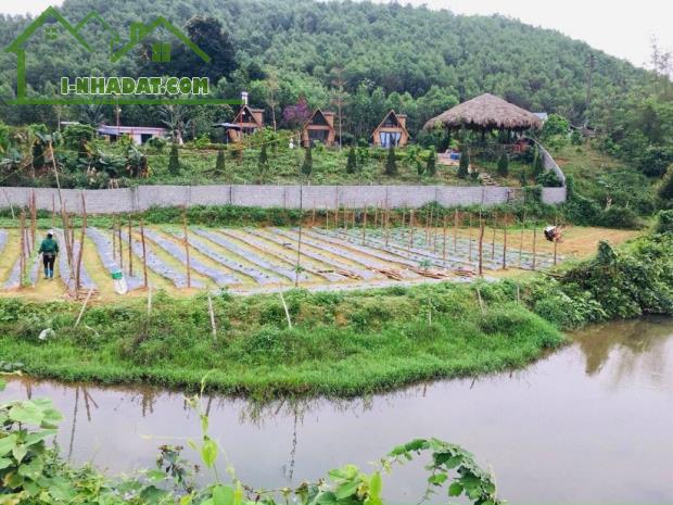 Bán gấp resort mini có tổng diện tích đất lên đến 4846m2 trong đó có 250m2 đất - 3