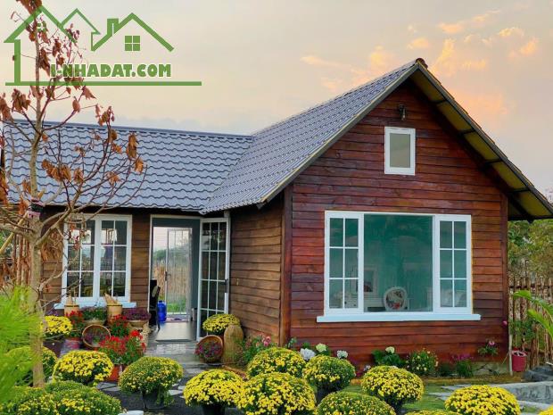 Bigsea Group chính thức ra mắt hệ sinh thái - village biển hồ