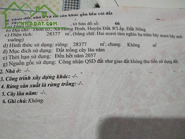 CHÍNH CHỦ CẦN BÁN 30.000 THÔN 2 XÃ HƯNG BÌNH, HUYỆN ĐẮK R’LẤP, ĐẮK NÔNG. - 1