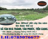 Bán 385m2 đất cây lâu năm lên được thổ cư  xã Tân Hoà Thành, Huyện Tân Phước, Tiền Giang