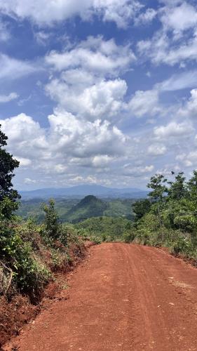 Đất view đồi săn mây giá 1 tỷ 682 triêu (6.5 hecta ) Đắk Ha Đắk Glong tỉnh Đắk Nông - 5