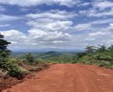 Đất view đồi săn mây giá 1 tỷ 682 triêu (6.5 hecta ) Đắk Ha Đắk Glong tỉnh Đắk Nông