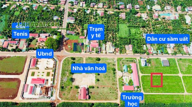 Đất nền khu đấu giá Phú Lộc