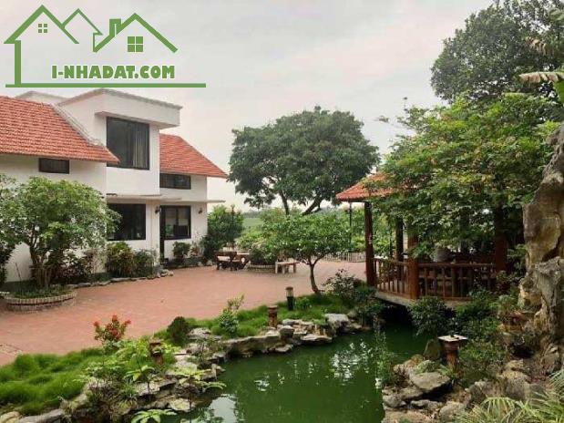 Biệt thự sân vườn Long Biên, 1100m x 3 tầng, mặt tiền 25m, tựa sơn hướng thuỷ, nội thất - 4