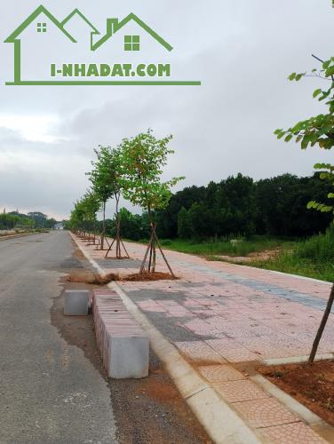 Bán gấp đất Lương Sơn, Hòa Bình 1000m2, giá 14,5 tỷ - 4