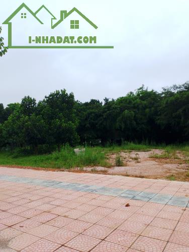 Bán gấp đất Lương Sơn, Hòa Bình 1000m2, giá 14,5 tỷ - 2