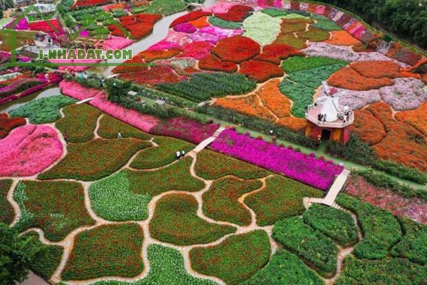 Bán 230m đất thổ cư, Xuân La, Tây Hồ, 3 thoáng, ô tô vào nhà - 1