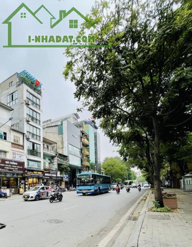 ⚜️ Đất vàng Mặt phố Nguyễn Thái Học, Ba Đình 248m2 MT 7m, Xây được 10 tầng, Chỉ 148 Tỷ ⚜️ - 3