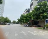 Siêu phẩm đất đấu giá Mậu Lương Hà Đông, phân lô ô tô 65m2 MT5.5m view công viên 15 tỷ