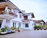 CHO THUÊ VILLA SÂN VƯỜN TT ĐÀ LẠT, ĐƯỜNG HẺM Ô TÔ HÙNG VƯƠNG, 6PN FULL NỘI THẤT 25TR