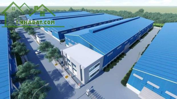 Cho thuê 2440m2 , 3920m2 Xưởng mới Tân Uyên Bình Dương Gía Rẻ - 2