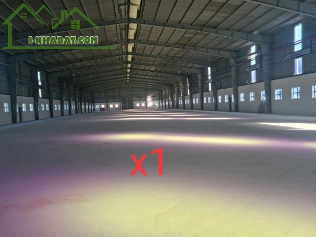 Cho thuê nhà xưởng 10.000m2 tại Tân Uyên, Bình Dương - 1