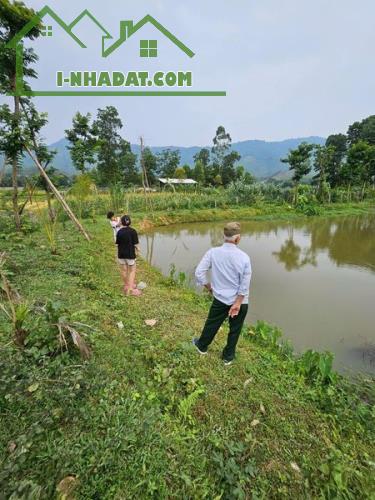 Đất thổ cư sổ đỏ 11000m đường 301Ngọc Thanh,Phúc Yên làm nghỉ dưỡng, trang trại,nhà xưởng