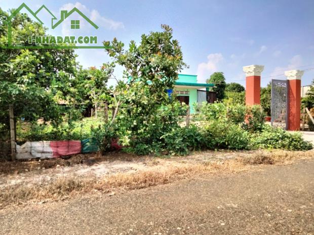 Đất đẹp Hắc Dịch, Phú Mỹ, BRVT: 5.5*46=250M2,chỉ 650 triệu-độc quyền - 3