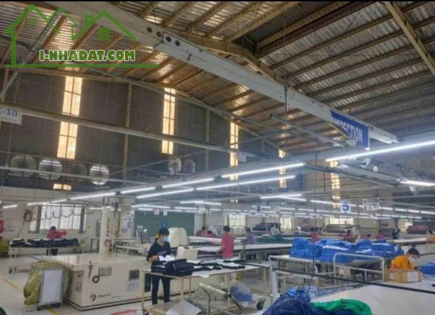 Cho thuê xưởng 9500m2 tại Thuận Giao, Thuận An, Bình Dương - 3