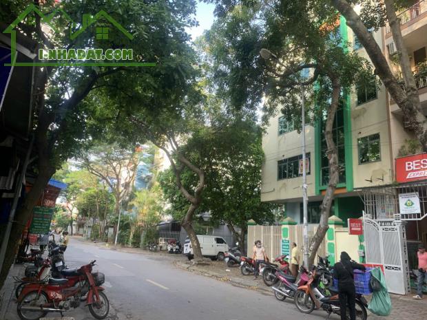 Cho thuê 3 căn nhà Bùi Xuân Phái, Lưu Hữu Phước, khu đô thị Mỹ Đình làm văn phòng, trung - 2