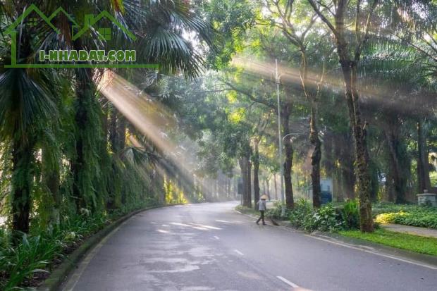 The Fibonan căn hộ cao cấp trong khu đô thị Ecopark